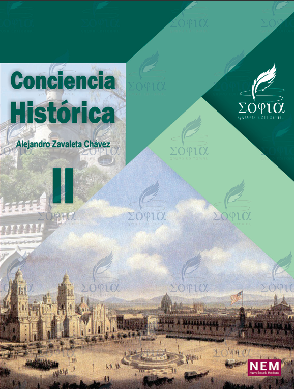 Conciencia Historica